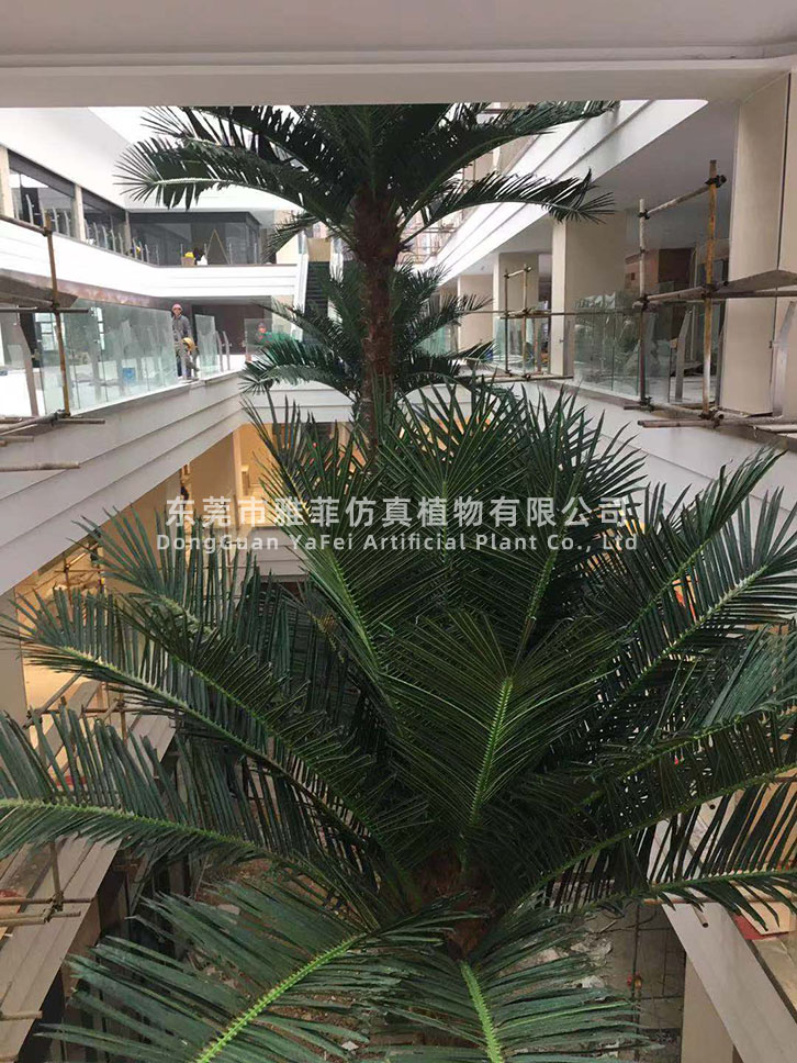 云南昆明城市公园广场保鲜椰子树规划案例04.jpg