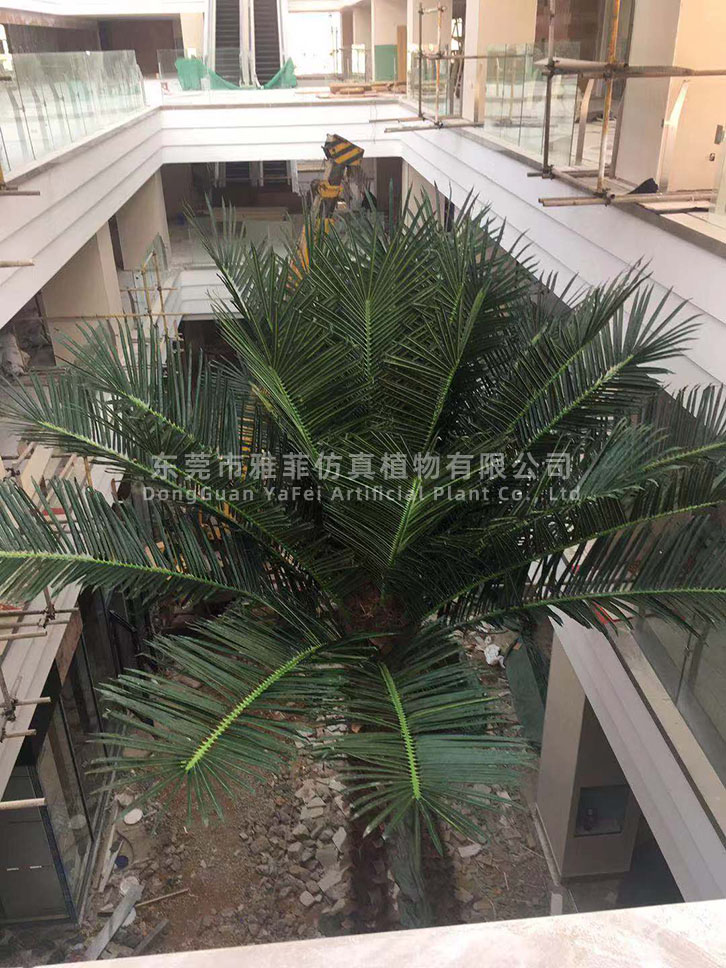 云南昆明城市公园广场保鲜椰子树规划案例05.jpg