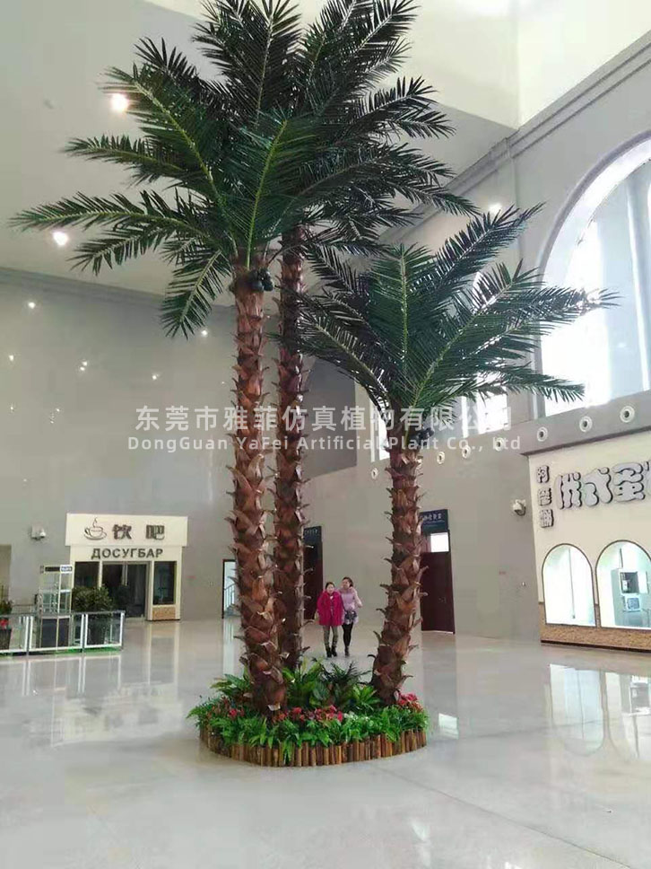 云南昆明城市公园广场保鲜椰子树规划案例06.jpg