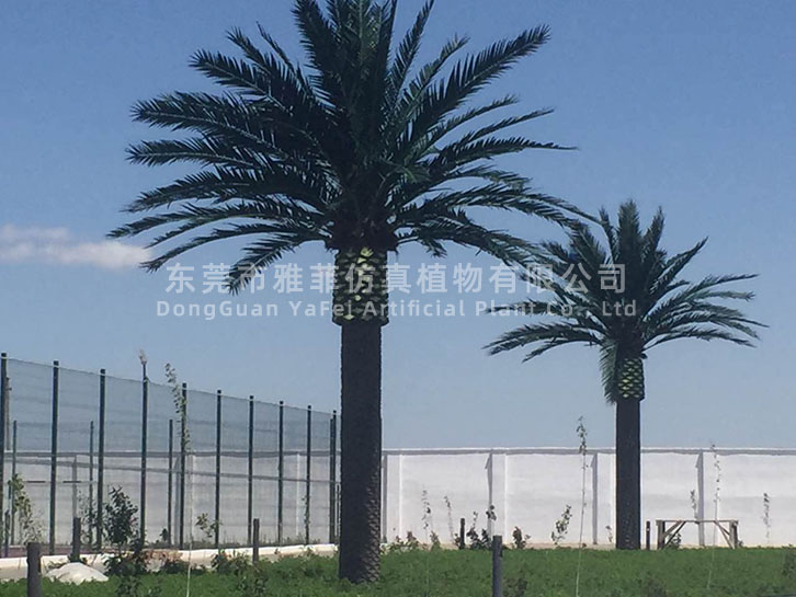 哈萨克斯坦室外仿真椰子树、仿真海藻树工程项目05.jpg