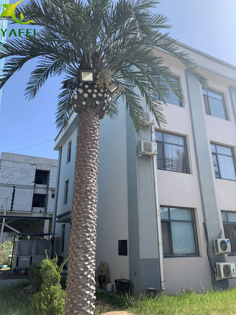 路灯海藻树.jpg