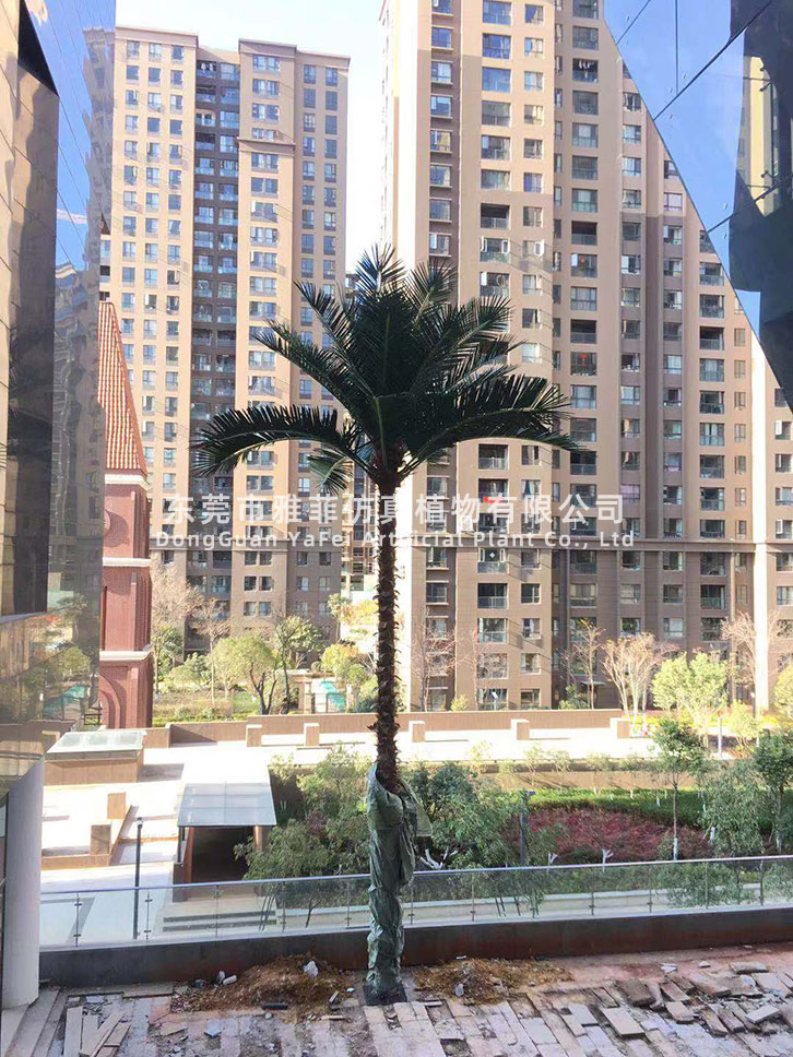 云南昆明城市公园广场保鲜椰子树规划案例01.jpg