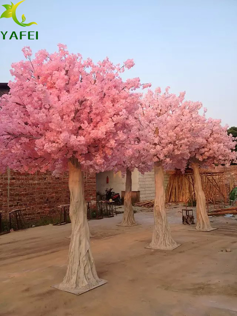 粉色樱花树1.jpg