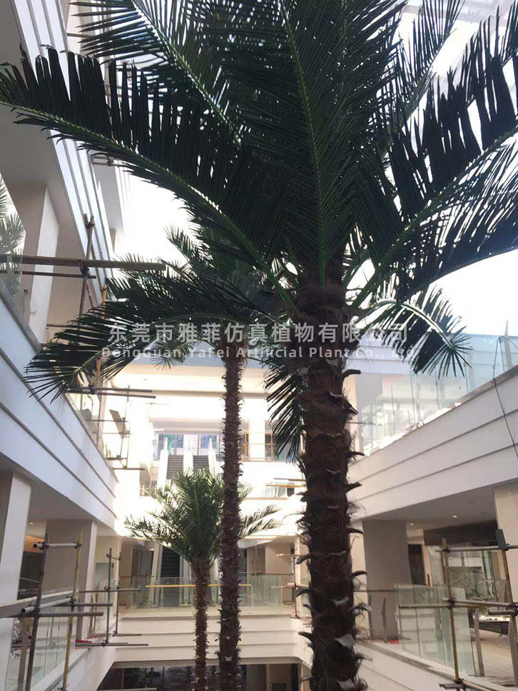 云南昆明城市公园广场保鲜椰子树规划案例03.jpg