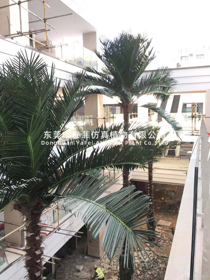 云南昆明城市公园广场保鲜椰子树规划案例02.jpg
