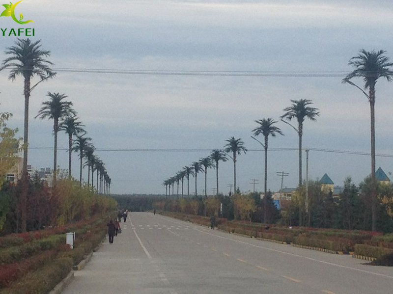 任凭风多大，仿真椰子树也是扛得住